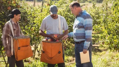Se necesita obreros para finca